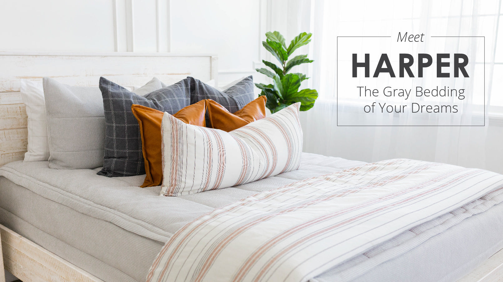 
      An infographic advertising the Harper style Bed-dys
    